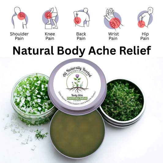 Comfrey Salve Body Ache