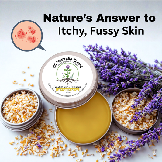 Calendula Salve “Catalina”